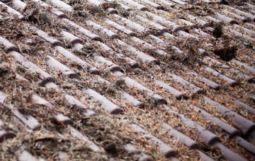 Heelands roof cleaning companies