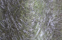 Heelands fibreglass roof work